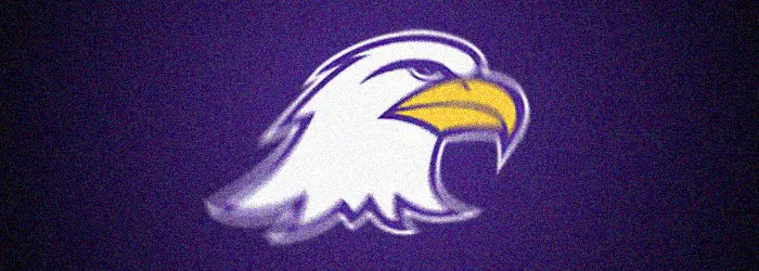 Ashland Eagles Football Logo