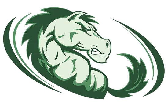 Strongsville Mustangs Football Logo